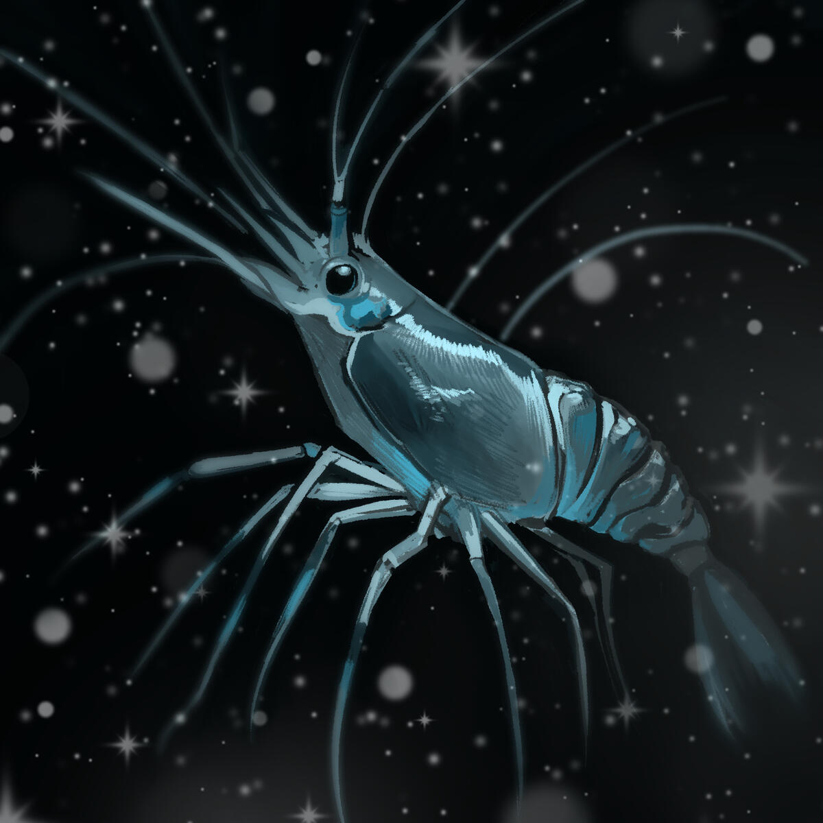 Shimp PFP, gift from Brianna Friday